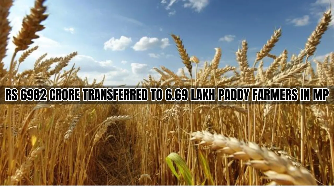 Rs 6982 Crore Transferred to 6.69 Lakh Paddy Farmers in MP