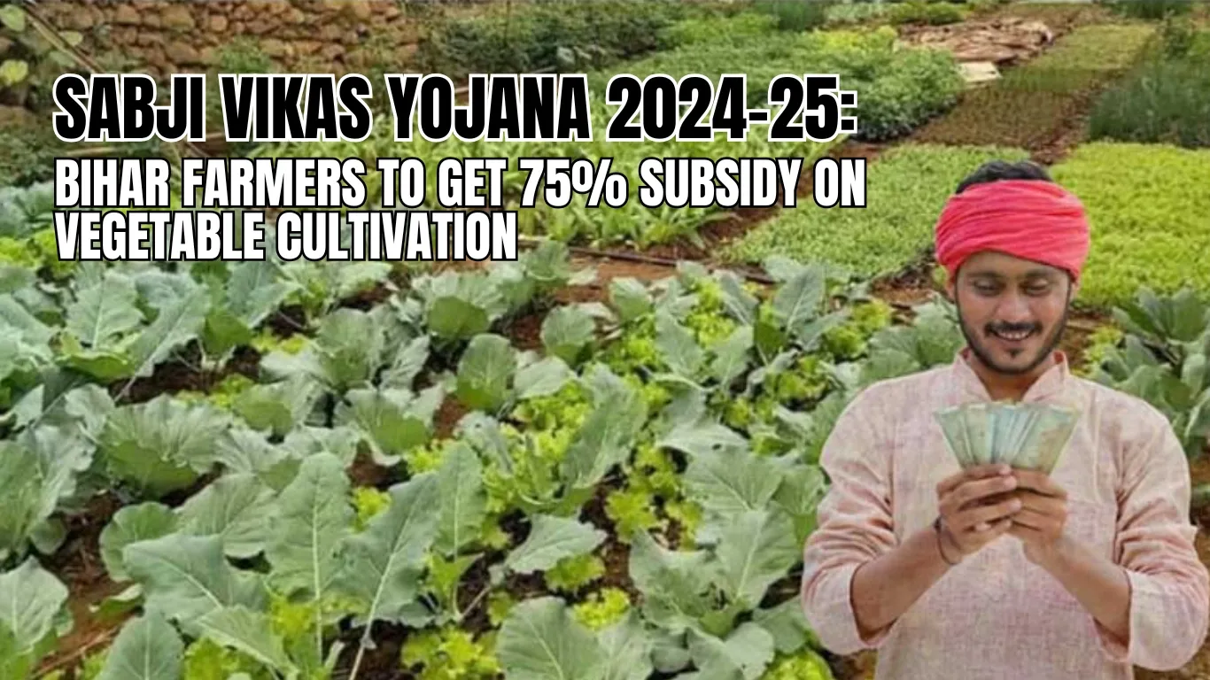 Sabji Vikas Yojana 2024-25: Bihar Farmers to Get 75% Subsidy on Vegetable Cultivation
