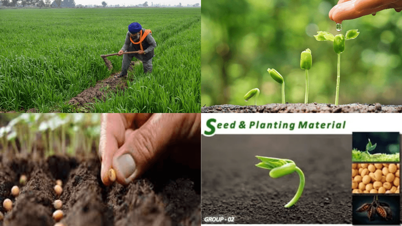 Sub-Mission on Seed and Planting Material (SMSP)