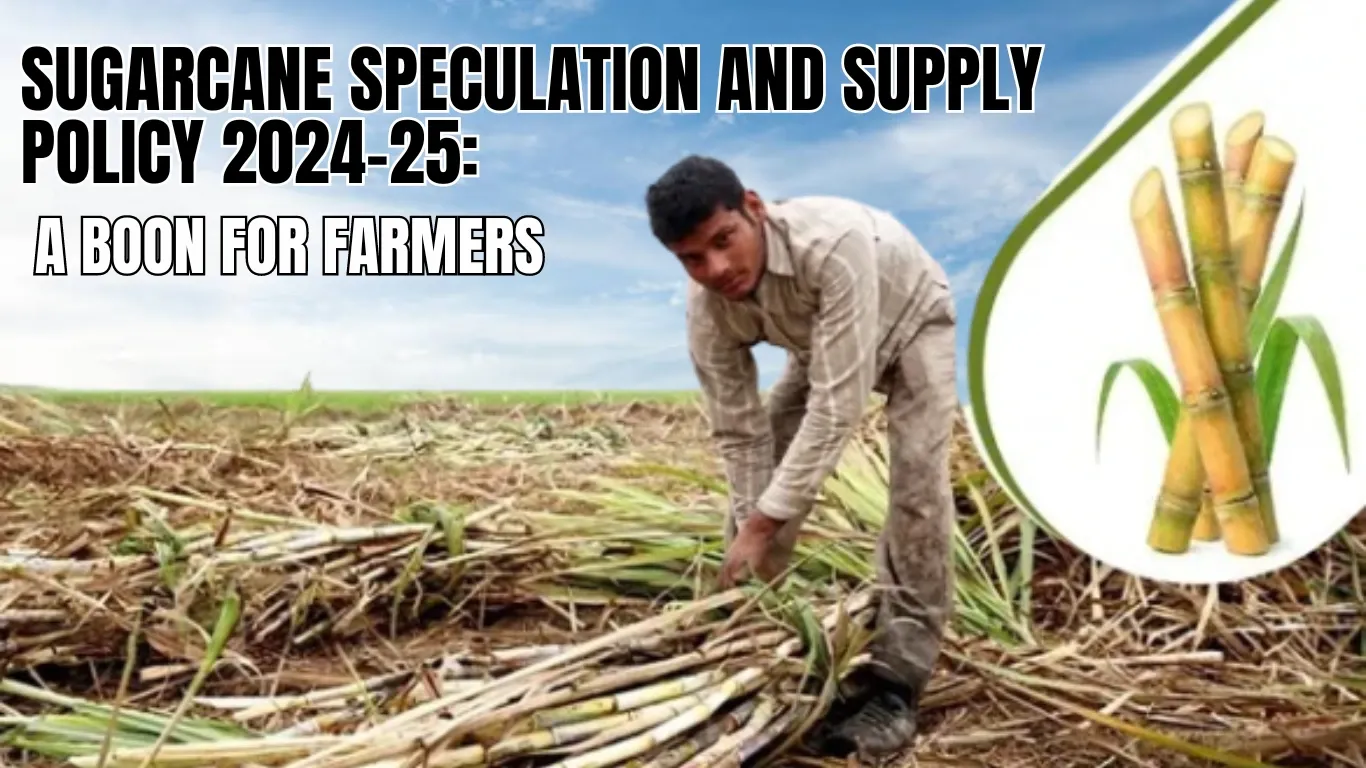 Sugarcane Speculation and Supply Policy 2024-25: A Boon for Farmers