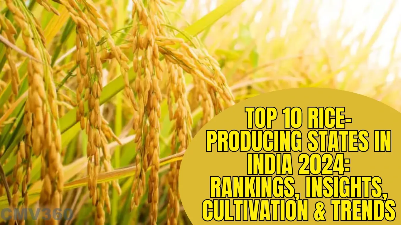 Top 10 Rice-Producing States in India 2024: Rankings, Insights, Cultivation & Trends