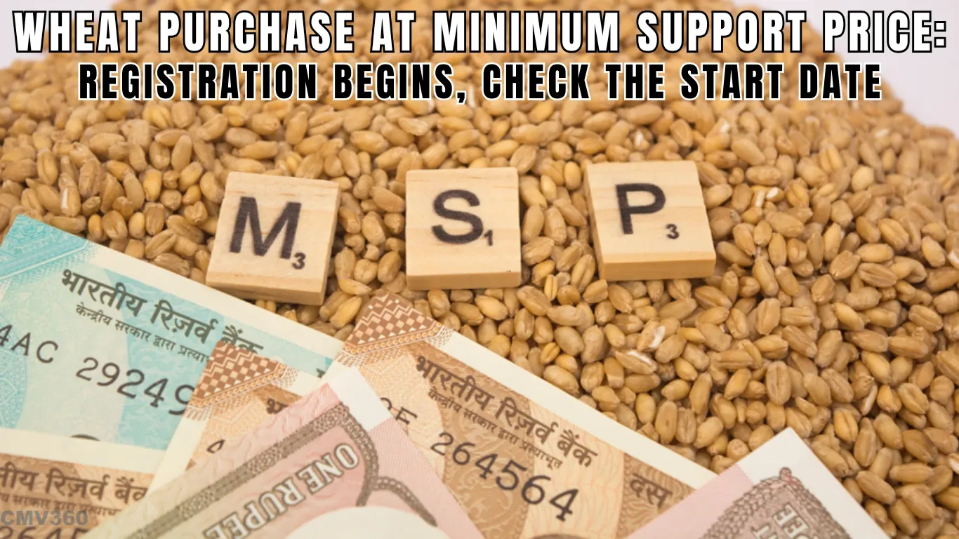 Wheat Purchase at Minimum Support Price: Registration Begins, Check the Start Date