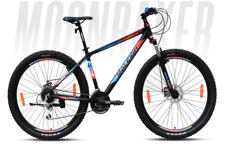 Raleigh 29 best sale reflex mountain bike