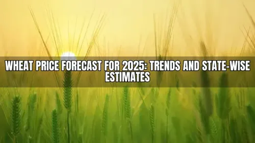 Wheat Price Forecast for 2025: What to Expect Across Major Indian States