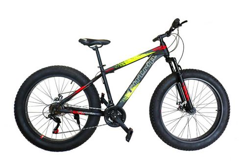 Small discount fat bike