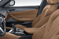 BMW 5 Series Door View of Driver Seat