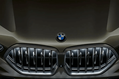 BMW X6 Grille